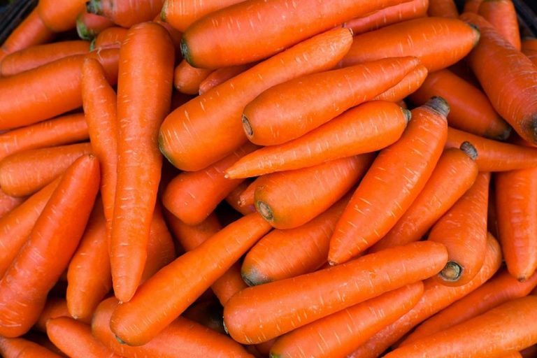 велику моркву