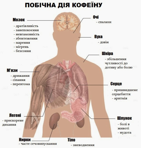 Можливо вам треба відмовитись від кави - на що впливає напій з'ясували вчені