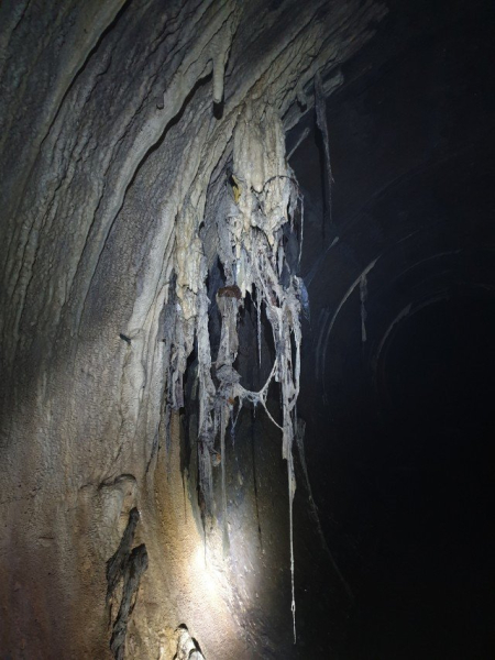Австрійський тунель під Львовом: Шокуючі фото підземного водоспаду у 18 метрів