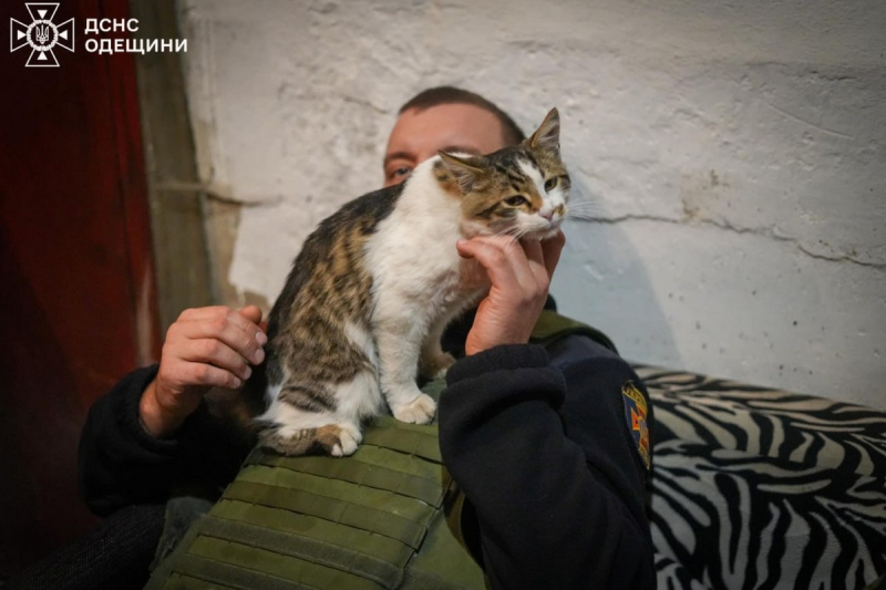 Надзвичайники Одеси врятували з палаючої трави кошеня – і тепер це їхній антистрес (фото)